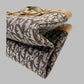 Pre-Owned Dior Trotter Denim Motif Handbag